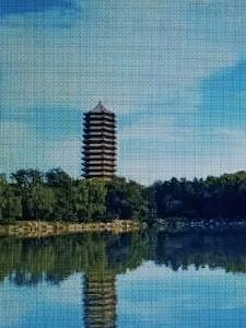 鸿缘公司简介