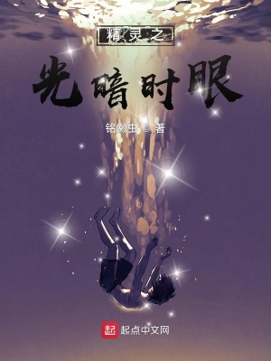精灵之光队友视角